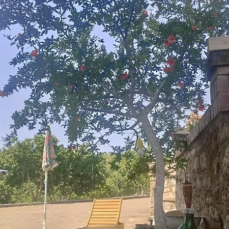 Bed & Breakfast Il Sottobosco 3*