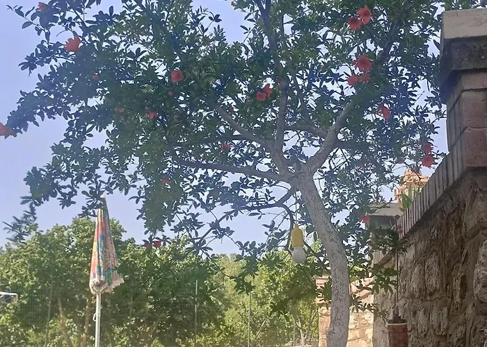 فندق مبيت وإفطار Il Sottobosco 3*